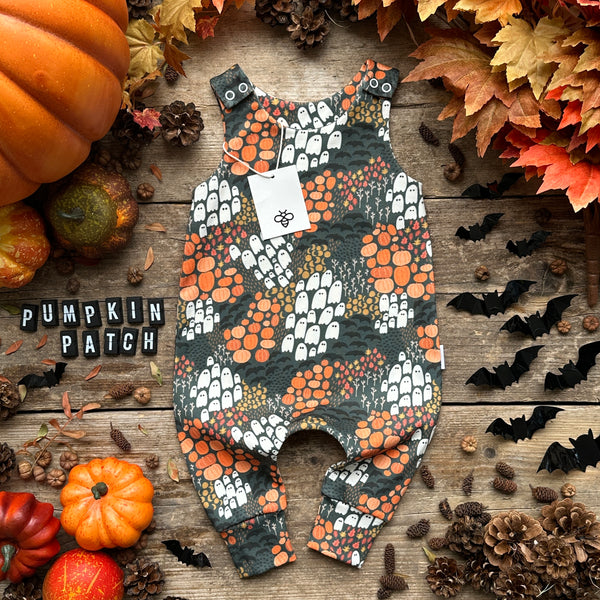 Pumpkin Patch Long Romper