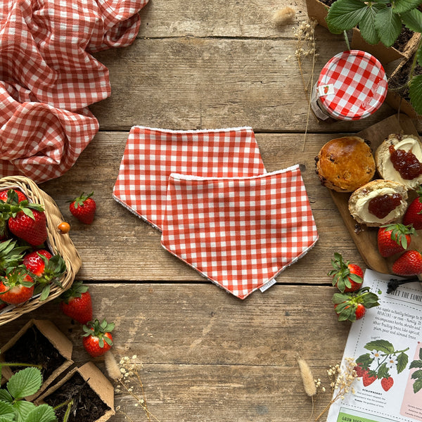 Red Gingham Dribble Bib | Ready To Post